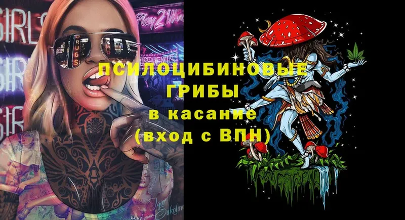 Галлюциногенные грибы Psilocybine cubensis  Белёв 